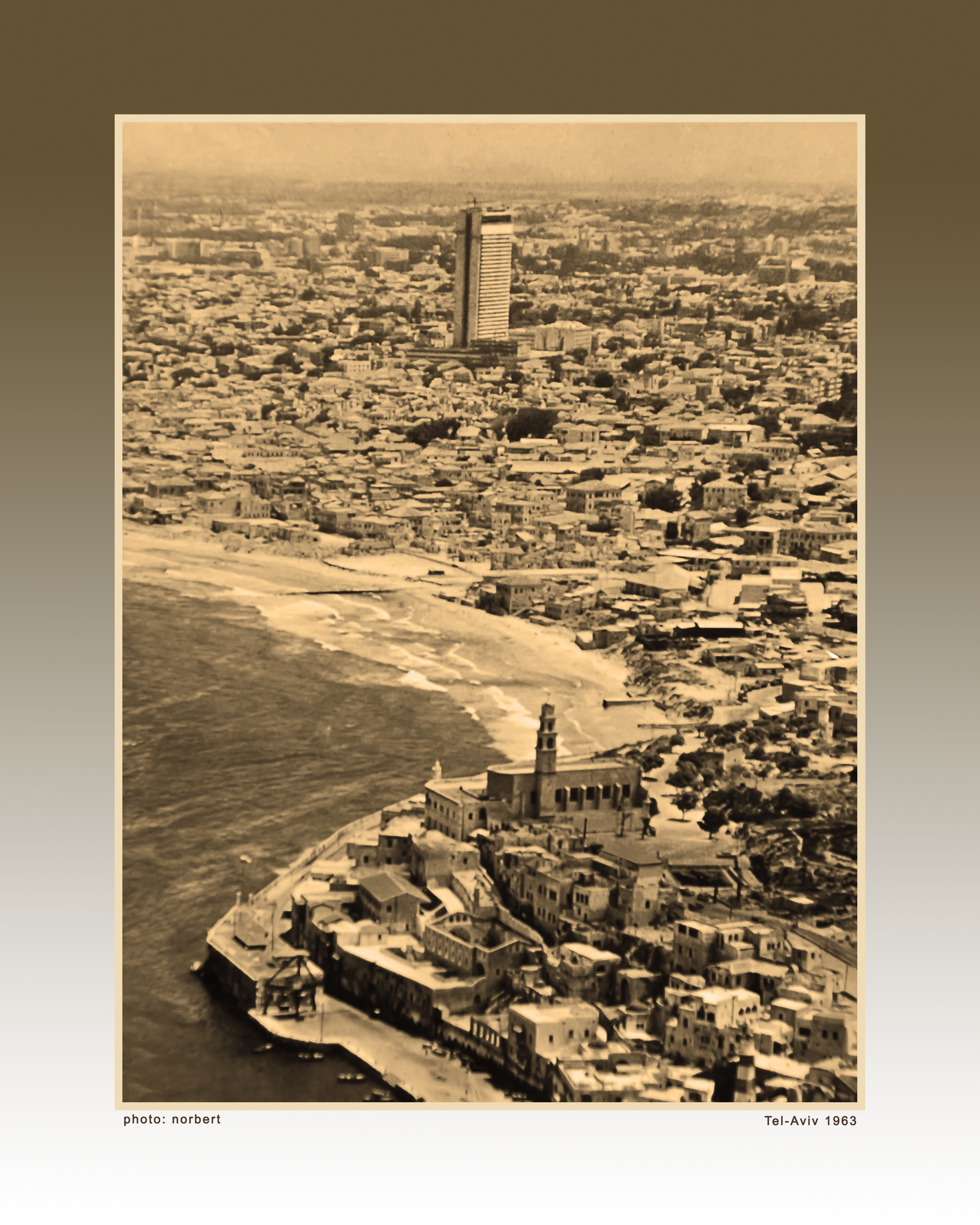 DSC_2177 t-a sepia